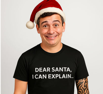 Dear Santa, I Can Explain - Black Tee